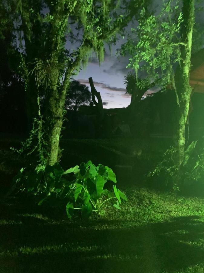 Pousada Natureza Serrana ウルビシ エクステリア 写真